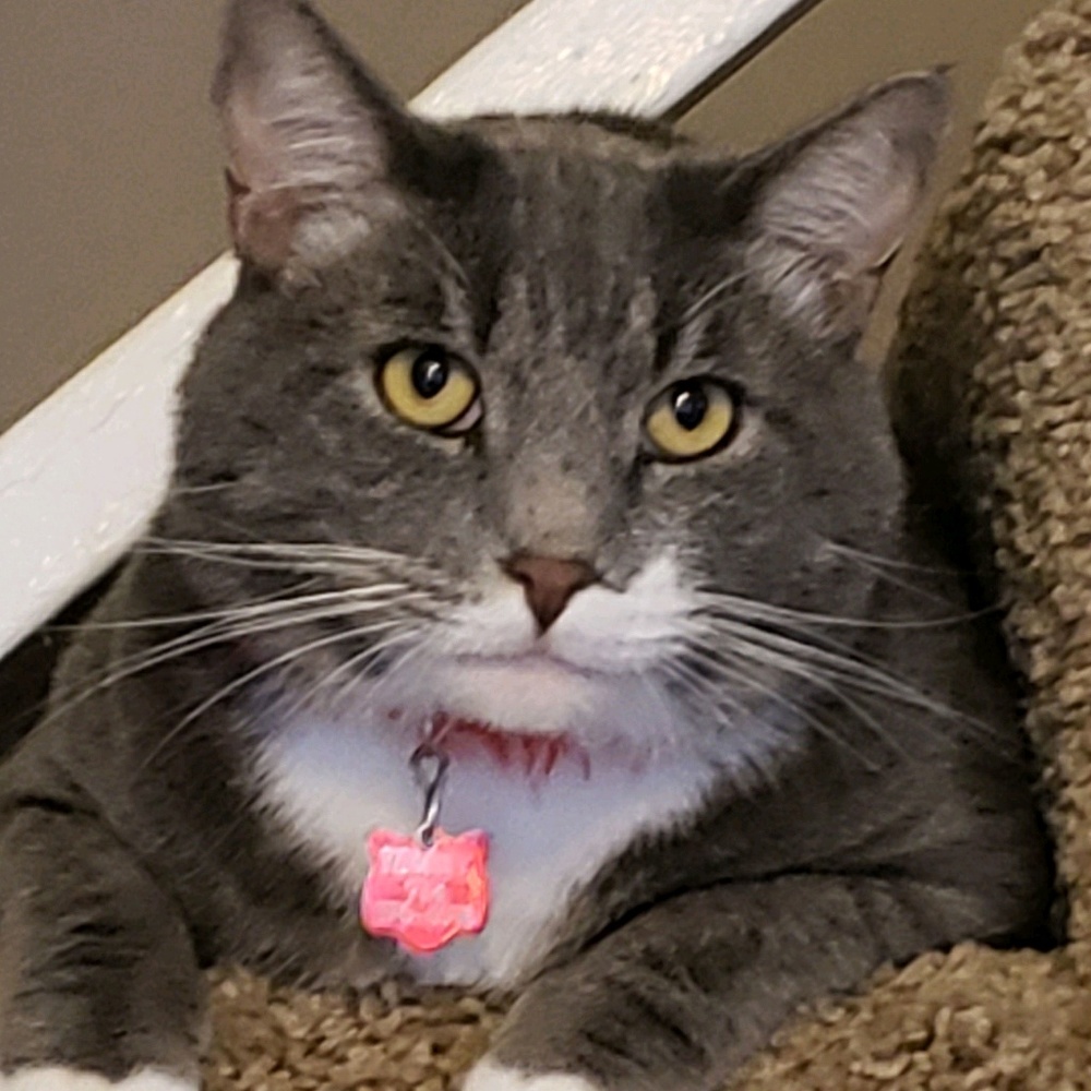 Meet your Posher, Suzanne